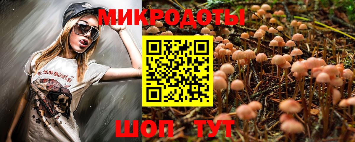 Котовск  Псилоцибиновые грибы Psilocybine cubensis  Псилоцибиновые грибы Magic Shrooms  Вход с VPN 